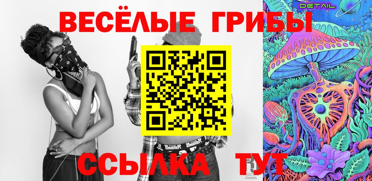 Псилоцибиновые грибы мицелий Санкт-Петербург