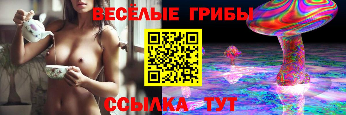 Галлюциногенные грибы Cubensis  Псилоцибиновые грибы Cubensis  Вход с VPN  Санкт-Петербург 